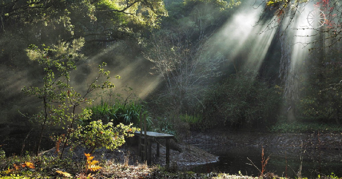 A Relaxing Weekend in Bagdogra: Hidden Gems & Quick Escapes